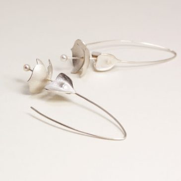 En ny medlem i begonia familjen. A new member of the begonia family.