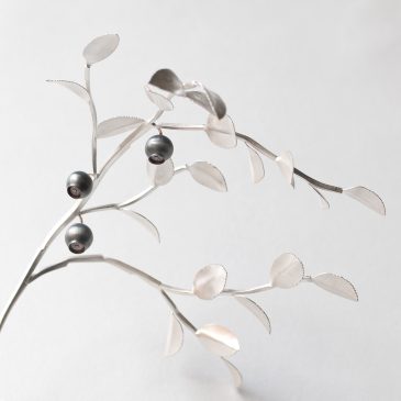 Dissonans & Botemedel mot växtblindhet